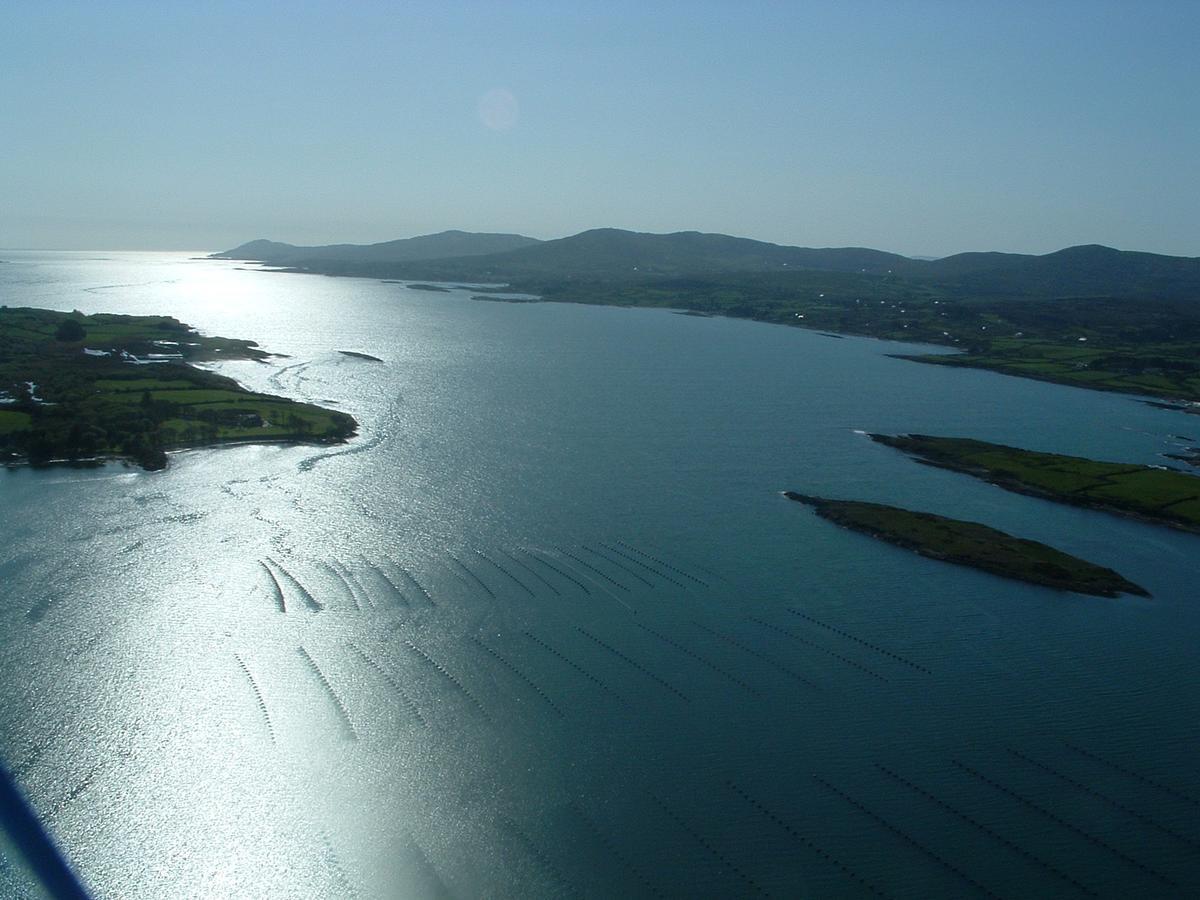 Blairscove House & Restaurant Durrus Bagian luar foto